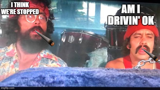 cheech and chong | I THINK WE'RE STOPPED; AM I DRIVIN' OK | image tagged in cheech and chong | made w/ Imgflip meme maker