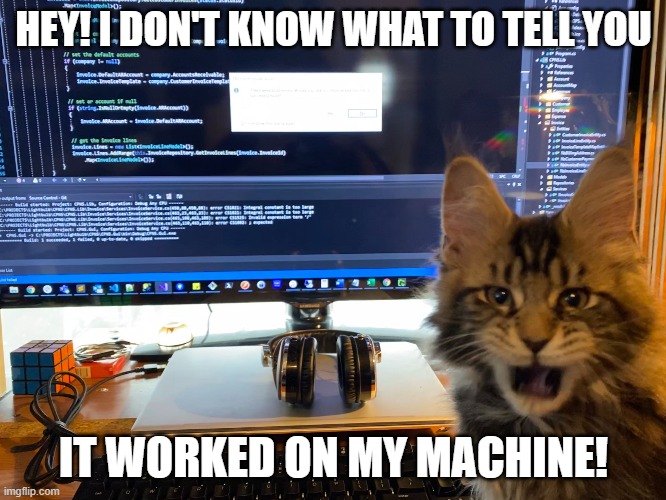 Works on my machine | HEY! I DON'T KNOW WHAT TO TELL YOU; IT WORKED ON MY MACHINE! | image tagged in programming,cats,funny | made w/ Imgflip meme maker