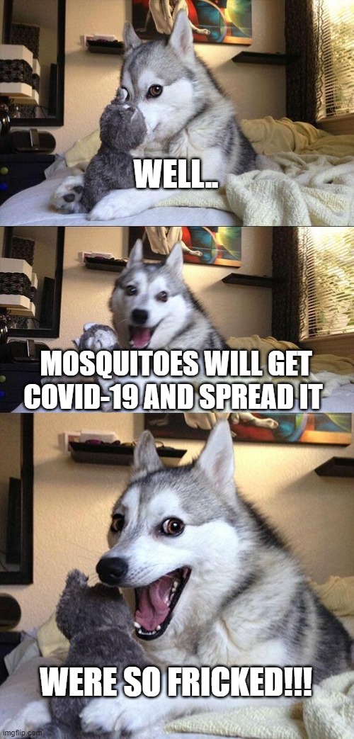 Bad Pun Dog | WELL.. MOSQUITOES WILL GET COVID-19 AND SPREAD IT; WERE SO FRICKED!!! | image tagged in memes,bad pun dog | made w/ Imgflip meme maker