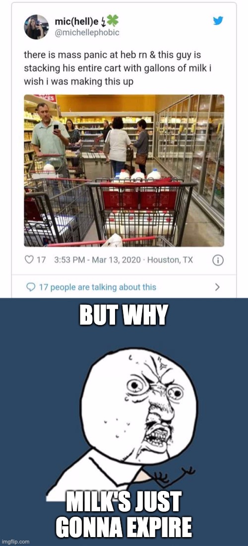 gallons of stupidity | BUT WHY; MILK'S JUST GONNA EXPIRE | image tagged in memes,y u no,hoarding,stupid people,milk | made w/ Imgflip meme maker