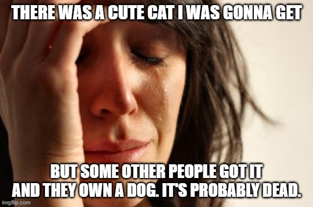 First World Problems | THERE WAS A CUTE CAT I WAS GONNA GET; BUT SOME OTHER PEOPLE GOT IT AND THEY OWN A DOG. IT'S PROBABLY DEAD. | image tagged in memes,first world problems,cats | made w/ Imgflip meme maker