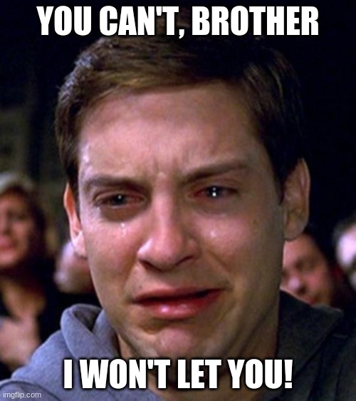 crying peter parker | YOU CAN'T, BROTHER I WON'T LET YOU! | image tagged in crying peter parker | made w/ Imgflip meme maker