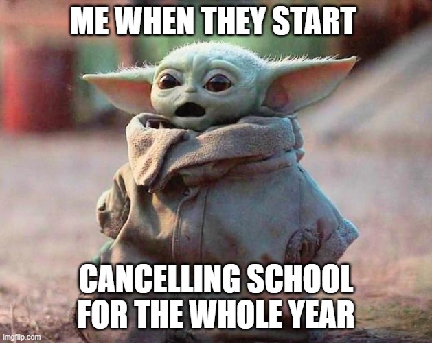 Surprised Baby Yoda | ME WHEN THEY START; CANCELLING SCHOOL FOR THE WHOLE YEAR | image tagged in surprised baby yoda | made w/ Imgflip meme maker