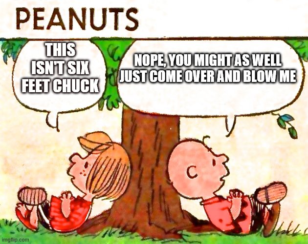 Peanuts Charlie Brown Peppermint Patty | NOPE, YOU MIGHT AS WELL JUST COME OVER AND BLOW ME; THIS ISN'T SIX FEET CHUCK | image tagged in peanuts charlie brown peppermint patty | made w/ Imgflip meme maker