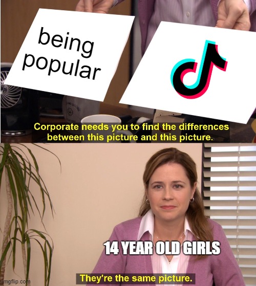 we must examine their brains to find to source of their stupidity | being popular; 14 YEAR OLD GIRLS | image tagged in memes,they're the same picture,tiktok | made w/ Imgflip meme maker