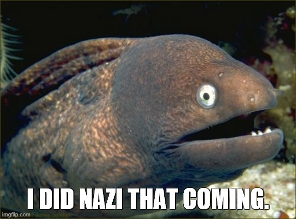 Bad Joke Eel Meme | I DID NAZI THAT COMING. | image tagged in memes,bad joke eel | made w/ Imgflip meme maker