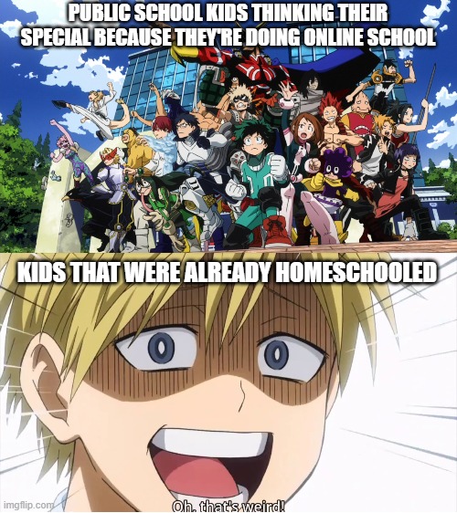 Yeah teachers TOTALLY just invented online school for corona... | PUBLIC SCHOOL KIDS THINKING THEIR SPECIAL BECAUSE THEY'RE DOING ONLINE SCHOOL; KIDS THAT WERE ALREADY HOMESCHOOLED | image tagged in bnha,my hero academia,coronavirus,covid-19,covid,online school | made w/ Imgflip meme maker