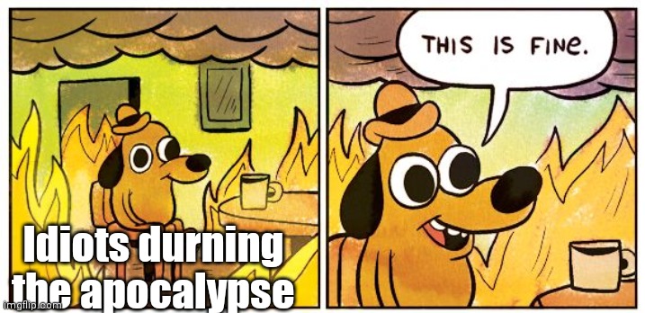 This Is Fine Meme | Idiots durning the apocalypse | image tagged in memes,this is fine | made w/ Imgflip meme maker