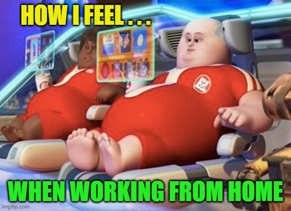 Working From Home is meh | HOW I FEEL . . . WHEN WORKING FROM HOME | image tagged in home,at work | made w/ Imgflip meme maker