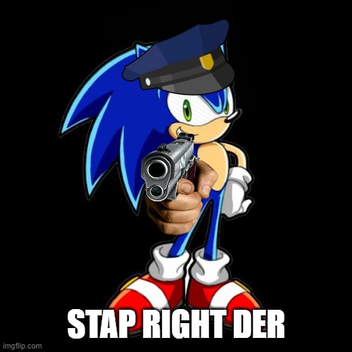 You're Too Slow Sonic Meme | STAP RIGHT DER | image tagged in memes,youre too slow sonic | made w/ Imgflip meme maker