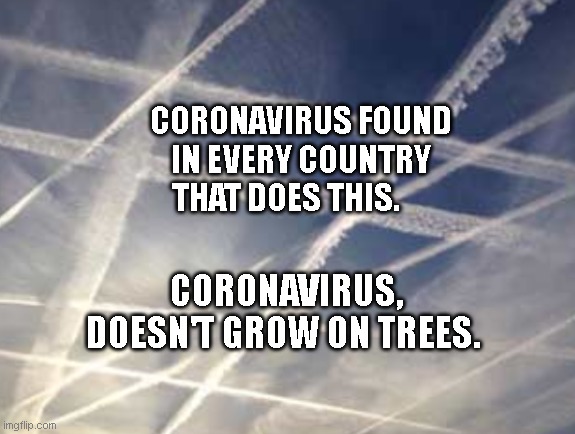 Chemtrails 234 | CORONAVIRUS FOUND IN EVERY COUNTRY THAT DOES THIS. CORONAVIRUS, DOESN'T GROW ON TREES. | image tagged in chemtrails 234 | made w/ Imgflip meme maker