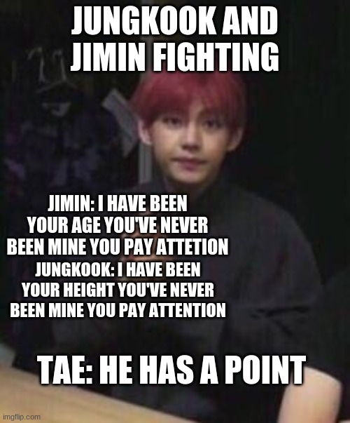 bts taehyung | JUNGKOOK AND JIMIN FIGHTING; JIMIN: I HAVE BEEN YOUR AGE YOU'VE NEVER BEEN MINE YOU PAY ATTETION; JUNGKOOK: I HAVE BEEN YOUR HEIGHT YOU'VE NEVER BEEN MINE YOU PAY ATTENTION; TAE: HE HAS A POINT | image tagged in bts taehyung | made w/ Imgflip meme maker