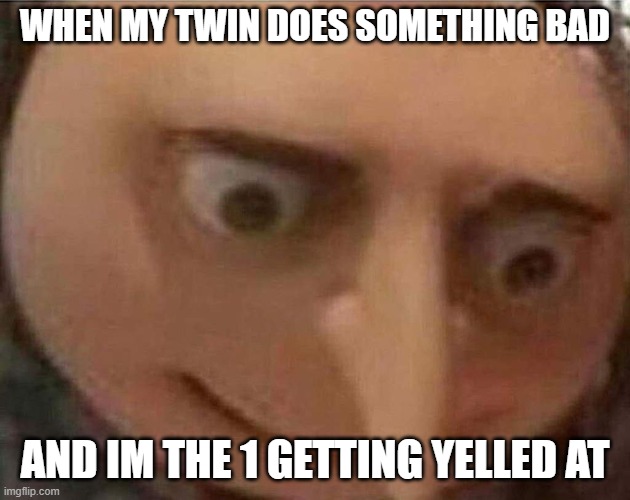 gru meme | WHEN MY TWIN DOES SOMETHING BAD; AND IM THE 1 GETTING YELLED AT | image tagged in gru meme | made w/ Imgflip meme maker