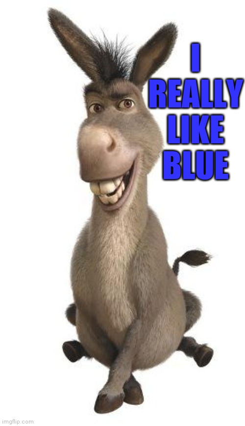 Donkey from Shrek | I REALLY LIKE BLUE | image tagged in donkey from shrek | made w/ Imgflip meme maker