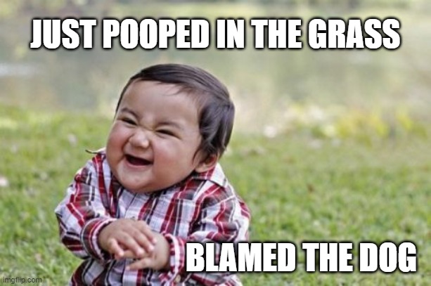 Evil Toddler | JUST POOPED IN THE GRASS; BLAMED THE DOG | image tagged in memes,evil toddler | made w/ Imgflip meme maker