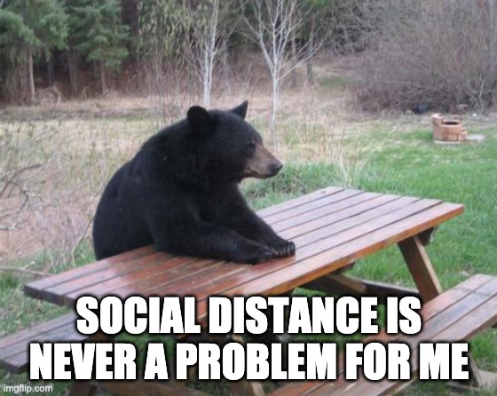 Bad Luck Bear | SOCIAL DISTANCE IS NEVER A PROBLEM FOR ME | image tagged in memes,bad luck bear | made w/ Imgflip meme maker