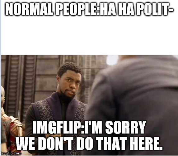 We don't do that here | NORMAL PEOPLE:HA HA POLIT-; IMGFLIP:I'M SORRY WE DON'T DO THAT HERE. | image tagged in we don't do that here | made w/ Imgflip meme maker