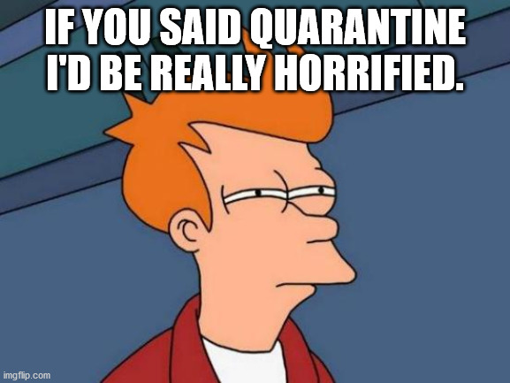Futurama Fry Meme | IF YOU SAID QUARANTINE I'D BE REALLY HORRIFIED. | image tagged in memes,futurama fry | made w/ Imgflip meme maker