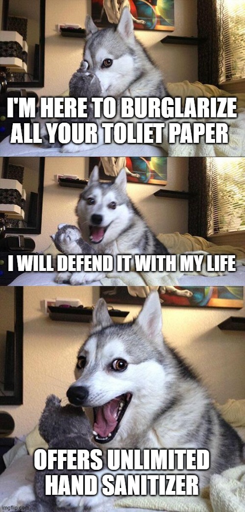 Bad Pun Dog | I'M HERE TO BURGLARIZE ALL YOUR TOLIET PAPER; I WILL DEFEND IT WITH MY LIFE; OFFERS UNLIMITED HAND SANITIZER | image tagged in memes,bad pun dog | made w/ Imgflip meme maker