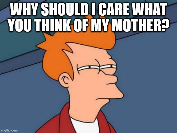 Futurama Fry Meme | WHY SHOULD I CARE WHAT YOU THINK OF MY MOTHER? | image tagged in memes,futurama fry | made w/ Imgflip meme maker