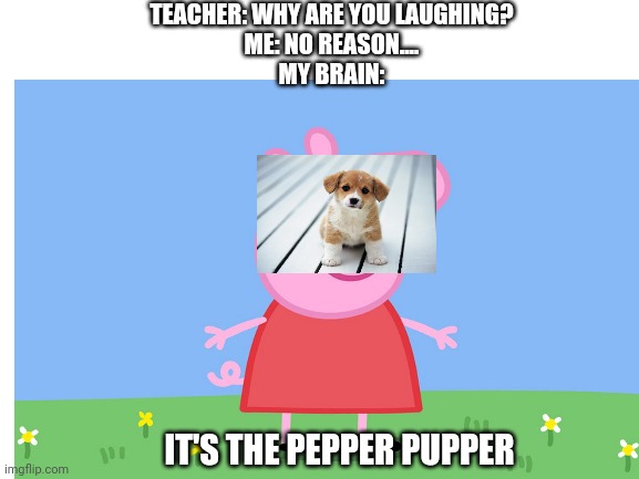 TEACHER: WHY ARE YOU LAUGHING?
ME: NO REASON....
MY BRAIN:; IT'S THE PEPPER PUPPER | made w/ Imgflip meme maker