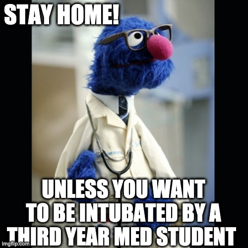 Grover. | STAY HOME! UNLESS YOU WANT TO BE INTUBATED BY A THIRD YEAR MED STUDENT | image tagged in grover,stay home,intubated | made w/ Imgflip meme maker