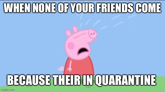 Why does (Peppa pig) | WHEN NONE OF YOUR FRIENDS COME; BECAUSE THEIR IN QUARANTINE | image tagged in why does peppa pig | made w/ Imgflip meme maker