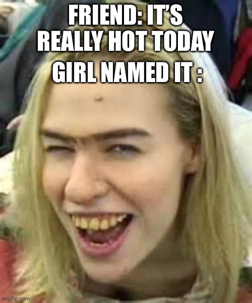 ugly girl | FRIEND: IT’S REALLY HOT TODAY; GIRL NAMED IT : | image tagged in ugly girl | made w/ Imgflip meme maker