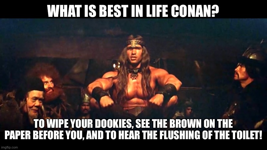 Conan TP | WHAT IS BEST IN LIFE CONAN? TO WIPE YOUR DOOKIES, SEE THE BROWN ON THE PAPER BEFORE YOU, AND TO HEAR THE FLUSHING OF THE TOILET! | image tagged in conan the barbarian,conan crush your enemies,corona virus,toilet paper | made w/ Imgflip meme maker