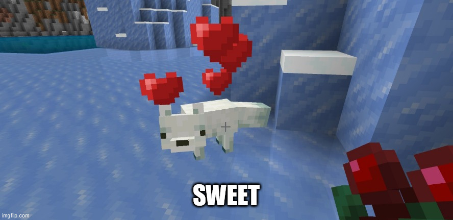 minecraft hearts | SWEET | image tagged in minecraft hearts | made w/ Imgflip meme maker