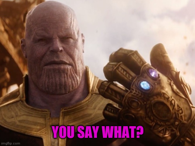 Thanos Smile | YOU SAY WHAT? | image tagged in thanos smile | made w/ Imgflip meme maker