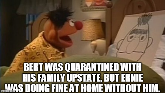 Lonely Ernie | BERT WAS QUARANTINED WITH HIS FAMILY UPSTATE, BUT ERNIE WAS DOING FINE AT HOME WITHOUT HIM. | image tagged in quarantine,coronavirus,sesame street,bert and ernie,social distancing | made w/ Imgflip meme maker