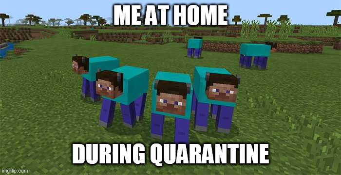 minecraft owns me now | ME AT HOME; DURING QUARANTINE | image tagged in me and the boys,minecraft | made w/ Imgflip meme maker