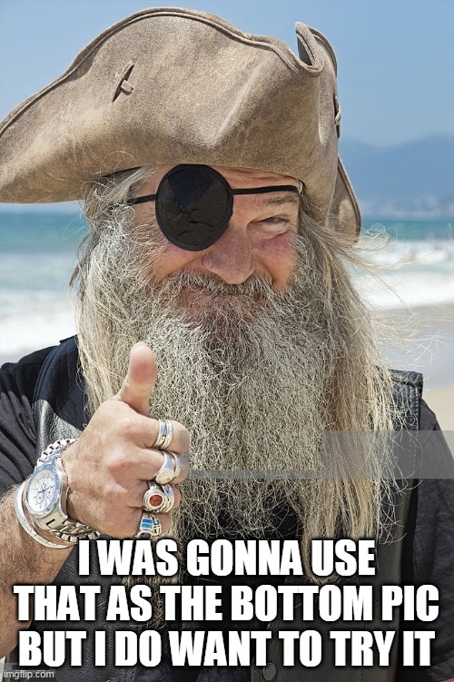 PIRATE THUMBS UP | I WAS GONNA USE THAT AS THE BOTTOM PIC
BUT I DO WANT TO TRY IT | image tagged in pirate thumbs up | made w/ Imgflip meme maker