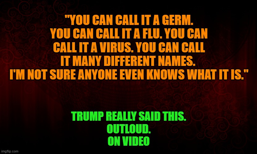 Trump really said this | "YOU CAN CALL IT A GERM. YOU CAN CALL IT A FLU. YOU CAN CALL IT A VIRUS. YOU CAN CALL IT MANY DIFFERENT NAMES. 
I'M NOT SURE ANYONE EVEN KNOWS WHAT IT IS."; TRUMP REALLY SAID THIS.
OUTLOUD.
ON VIDEO | image tagged in donald trump,covid-19 | made w/ Imgflip meme maker