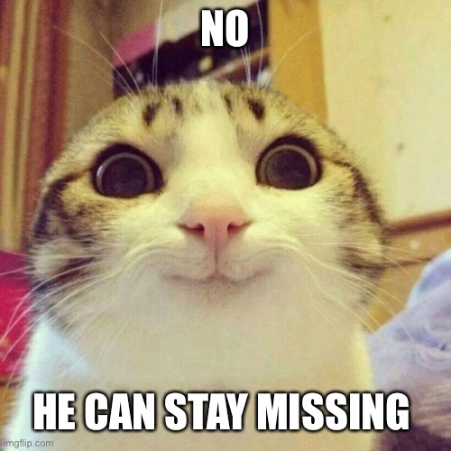 Smiling Cat Meme | NO HE CAN STAY MISSING | image tagged in memes,smiling cat | made w/ Imgflip meme maker