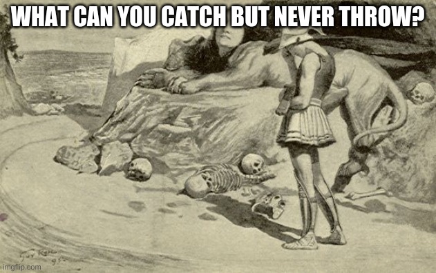 Riddles and Brainteasers | WHAT CAN YOU CATCH BUT NEVER THROW? | image tagged in riddles and brainteasers | made w/ Imgflip meme maker
