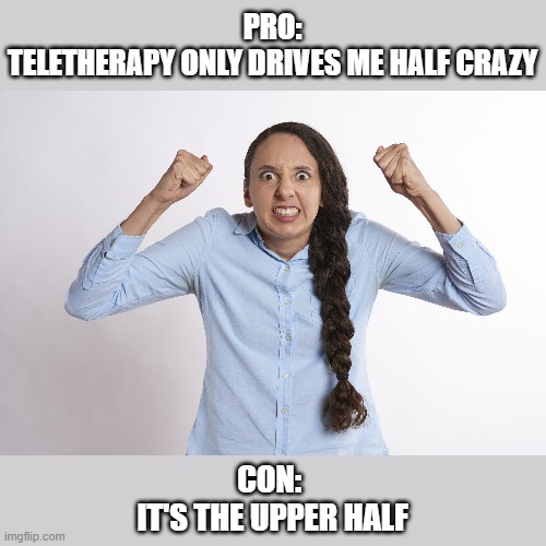 PRO:
TELETHERAPY ONLY DRIVES ME HALF CRAZY; CON: 
IT'S THE UPPER HALF | image tagged in telehealth,teletherapy,video conference,coronavirus,corona virus,therapy | made w/ Imgflip meme maker