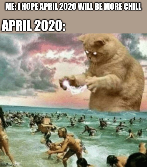 Cat terrorizing beach | ME: I HOPE APRIL 2020 WILL BE MORE CHILL; APRIL 2020: | image tagged in cat terrorizing beach | made w/ Imgflip meme maker