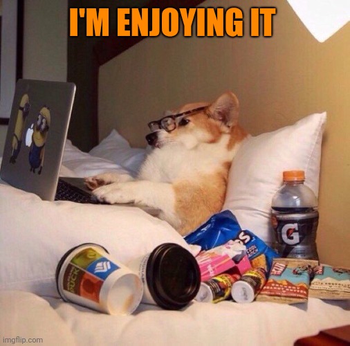 Lazy dog in bed | I'M ENJOYING IT | image tagged in lazy dog in bed | made w/ Imgflip meme maker
