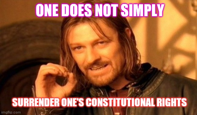 Freedom is'nt free - Fight for your RIGHTS | ONE DOES NOT SIMPLY; SURRENDER ONE'S CONSTITUTIONAL RIGHTS | image tagged in memes,one does not simply,deep state,civil rights | made w/ Imgflip meme maker