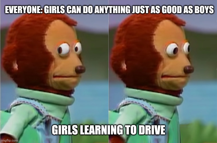 puppet Monkey looking away | EVERYONE: GIRLS CAN DO ANYTHING JUST AS GOOD AS BOYS; GIRLS LEARNING TO DRIVE | image tagged in puppet monkey looking away | made w/ Imgflip meme maker
