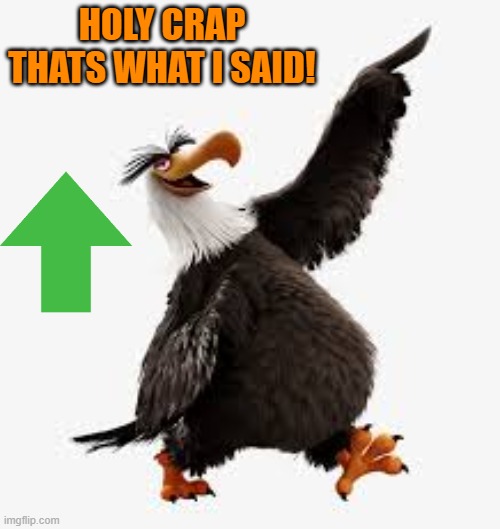 angry birds eagle | HOLY CRAP THATS WHAT I SAID! | image tagged in angry birds eagle | made w/ Imgflip meme maker