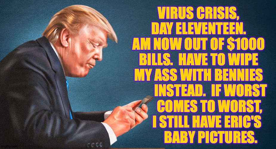 When the going gets tough  ( : | VIRUS CRISIS,
DAY ELEVENTEEN.
AM NOW OUT OF $1000
BILLS.  HAVE TO WIPE
MY ASS WITH BENNIES
         INSTEAD.  IF WORST; COMES TO WORST,
    I STILL HAVE ERIC'S
       BABY PICTURES. | image tagged in memes,virus crisis trump,day eleventeen,when the going gets tough | made w/ Imgflip meme maker