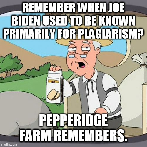 Pepperidge Farm Remembers Meme | REMEMBER WHEN JOE BIDEN USED TO BE KNOWN PRIMARILY FOR PLAGIARISM? PEPPERIDGE FARM REMEMBERS. | image tagged in memes,pepperidge farm remembers | made w/ Imgflip meme maker
