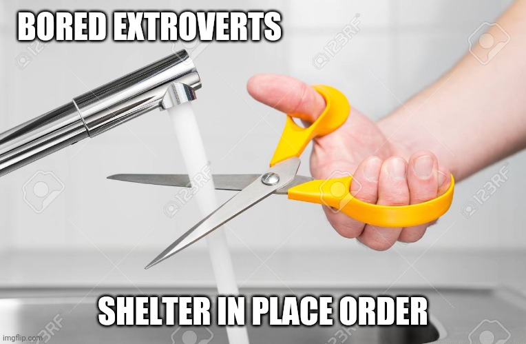 cutting water with scissors | BORED EXTROVERTS; SHELTER IN PLACE ORDER | image tagged in cutting water with scissors | made w/ Imgflip meme maker