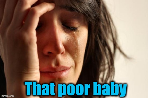 First World Problems Meme | That poor baby | image tagged in memes,first world problems | made w/ Imgflip meme maker
