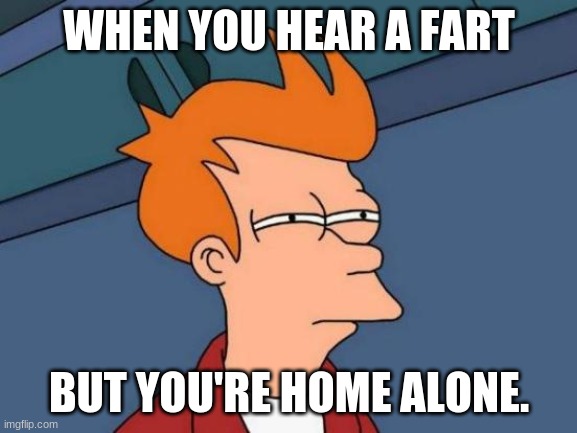 Futurama Fry | WHEN YOU HEAR A FART; BUT YOU'RE HOME ALONE. | image tagged in memes,futurama fry | made w/ Imgflip meme maker