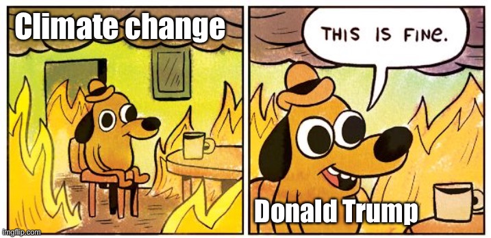 This Is Fine | Climate change; Donald Trump | image tagged in memes,this is fine | made w/ Imgflip meme maker