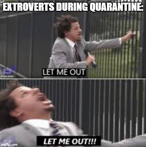 let me out | EXTROVERTS DURING QUARANTINE: | image tagged in let me out | made w/ Imgflip meme maker